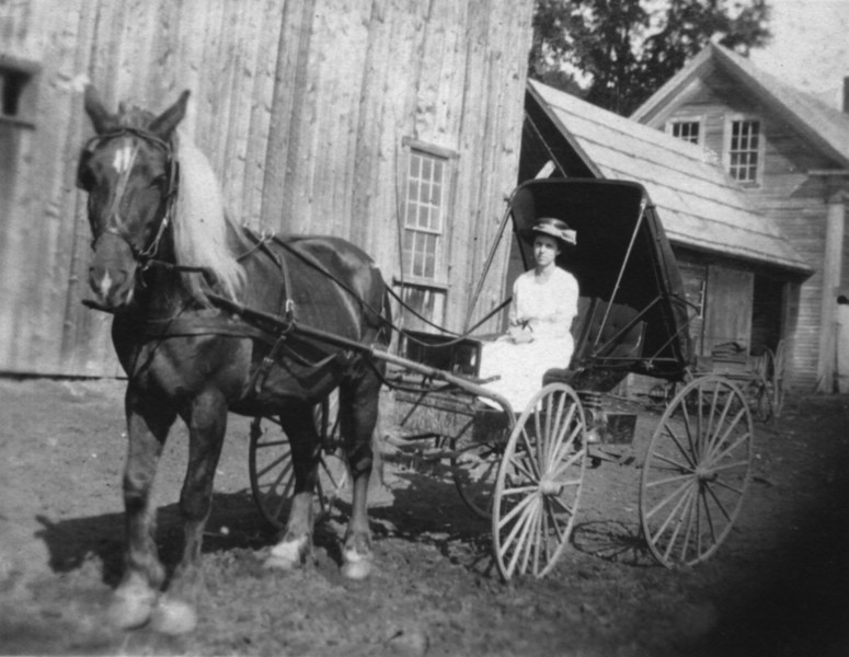ElsieWalbridgeHorseBuggy.jpg
