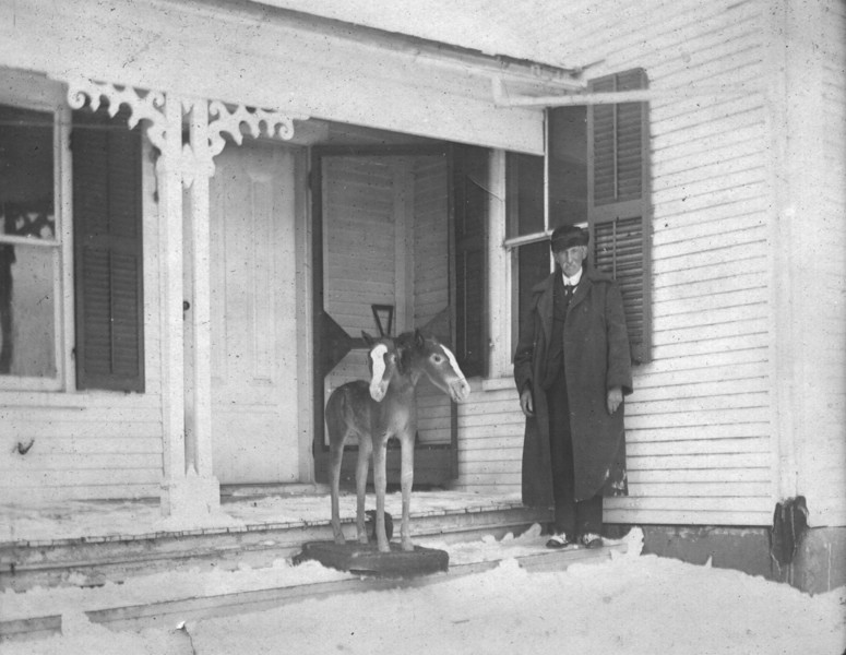 JoeTilton10CentsToViewThe2HeadedColt.jpg