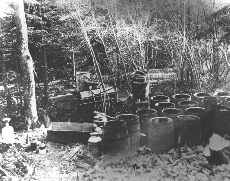 DanMcLeanStillCabotPlains.jpg