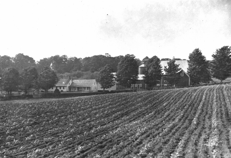 WalbridgeFarmFromAcrossRoadB.jpg